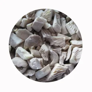 Export Of Fresh Raw Oyster Mushroom 1kg IQF Frozen Pleurotus Ostreatus Cultivated Source For Buyers