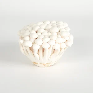 Factory Cultivated Chinese Fresh White Beech Mushroom