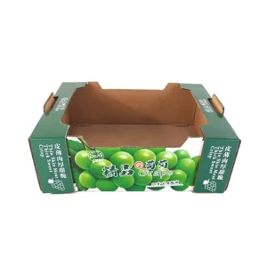 Factory Direct Eco Friendly Corrugated Carton Box for Vegetable Fruit Grape Packing Custom Offset Embossing Sales