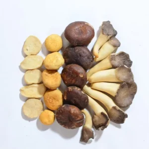 Factory Direct Mixed Mushroom Crisps, Fried, Salty, Halal Kosher Certified