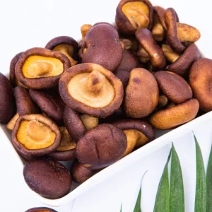 Factory Direct Sales Of Healthy Dried Mushrooms 100g Ready to Eat Snack For Children Dried Vegetable