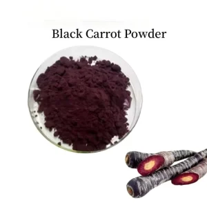 Factory Direct Supply of Pure Natural Black Carrot Powder Food Grade Vegetable Powder Fruit or Vegetable Powder