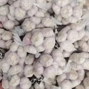 Factory Fresh Garlic China