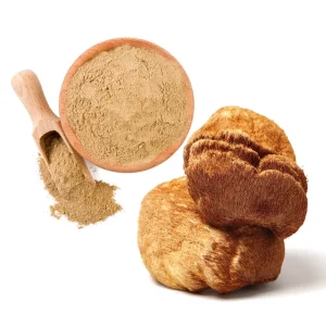 Factory Supply Lion’s Mane Mushroom Extract Powder 10:1 Hericium Erinaceus Extract