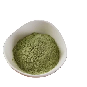 Fine Ground Dehydrated Spinach Powder Low Moisture for Noodles & Pet Food