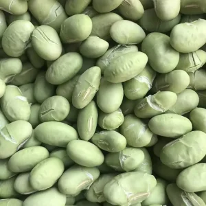Freeze-Dried Edamame Instant Food for On-the-Go Use