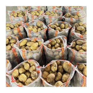 Fresh Bulk Potato China Food Supplier Price Holland Potatoes