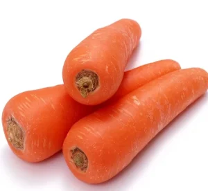 Fresh Carrot From China ( New Harvest in May)