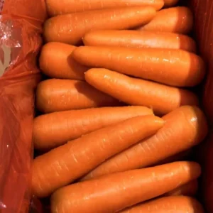 Fresh Carrot S M L 2L 3L Fruit Carrot Wholesaler for Best Quality and Price New Crop Fresh Carrot