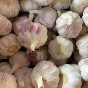Fresh China White Garlic Bulk Supply Organic Peeled Garlic