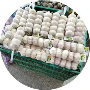 Fresh Chinese 4P Pure White Garlic Price Fresh Vegetables for
