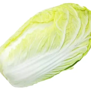 Fresh Chinese Cabbage Factory Green Vegetable