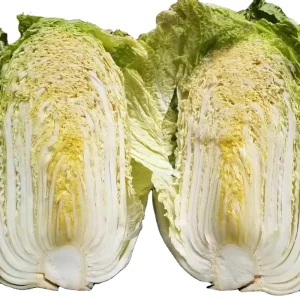 Fresh Chinese Cabbage Newly Harvested Long Cabbage Green Vegetable Chinese Cabbage