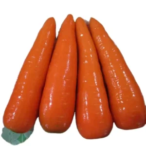 Fresh Chinese Carrots Fresh Vegetables Carrots Export Quality Natural Sweet Fresh Carrot