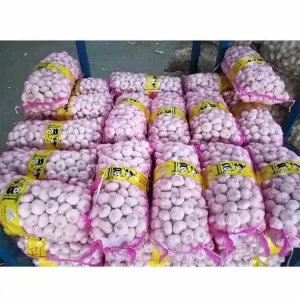 Fresh Chinese Garlic, Normal White, Red, and Purple Varieties