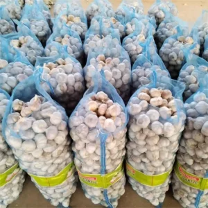 Fresh Chinese Garlic Pure White Garlic Manufacturer