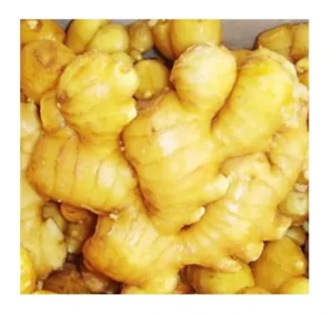 Fresh Chinese Ginger Zingiber Shandong New Crop Suppliers