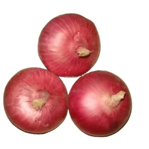 Fresh Chinese Red and Yellow Onions Per Ton