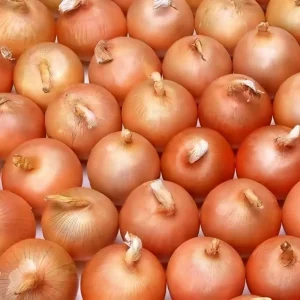 Fresh Chinese Yellow Onions Premium Fresh Onions for Cooking Vegetable Supply
