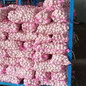 Fresh Fresh White Garlic 45mm 70mm Factory Supplied Frozen Chinese Garlic