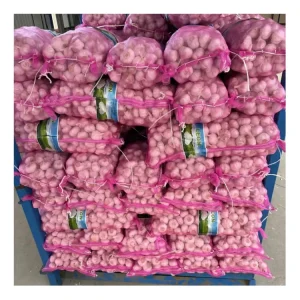 Fresh Garlic 10kg Bag 20kg Carton Export