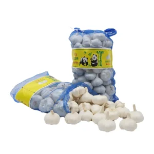 Fresh Garlic 10kg Bag Supplier