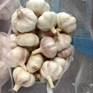 Fresh Garlic Ail Ajo Alho Ajlo Aglio China Exporters Suppliers