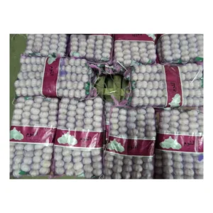 Fresh Garlic China Fresh Vegetable Pure White Garlic Price Supplier Garlic Exporter Bulk Packing