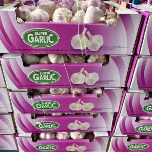 Fresh Garlic China Fresh White Garlic Newest Crop Europe Grade High Quality 5kg 7kg 10kg Carton Packing Exporter