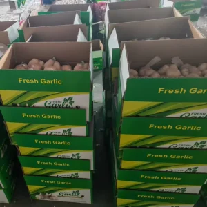 Fresh Garlic China Price Supplier Ajo Ail Frais Pure Normal White Garlic 1kgX10 in Carton Alho Hot Supplier