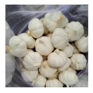 Fresh Garlic China garlic Fresh Supplier fresh White Garlic ajo
