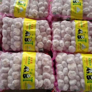 Fresh Garlic Fresh Garlic Fresh Garlic From China Wholesales Selling