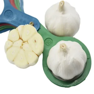 Fresh Garlic Normal White Fresh Garlic Fruits and Vegetables Direct From Garlic Factory