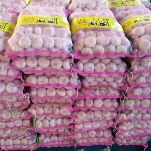 Fresh Garlic Quality 25kg Mesh Bag Package White Garlic Vegetables Fresh Garlic