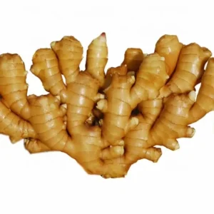 Fresh Ginger Dry Ginger Jengibre Gingembre