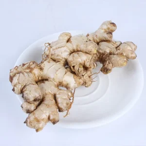 Fresh Ginger Garlic Air Dry Ginger China Wholesaler