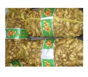 Fresh Ginger in Mesh Bag for Export