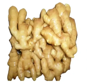 Fresh Mature Chinese Ginger Factory Direct