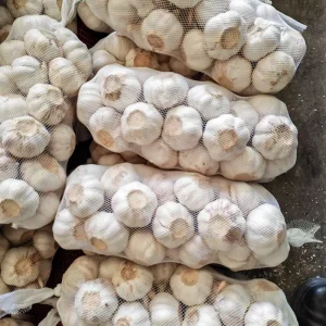 Fresh Natural Grade Bulk Garlic for Cooking, Private Packing, Chinese Exporter