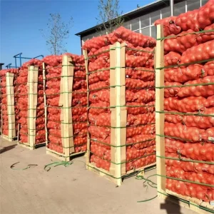 Fresh Natural Yellow Onion High Quality Optimum Brand 5 7cm Year Round to Export at a Low Price