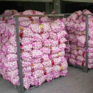 Fresh New Crop Garlic Per Ton From China