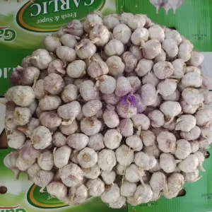 Fresh Normal White Garlic 10kg Carton Export