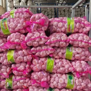 Fresh Normal White Garlic Bag Packing Supplier Garlic Factory