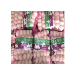 Fresh Normal White Garlic Chinese Garlic Packed with Small Bag