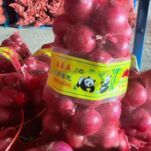 Fresh Onion Export Red Onion and Yellow Onion New Crop