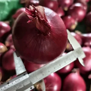 Fresh Onion Mesh Bag for Food