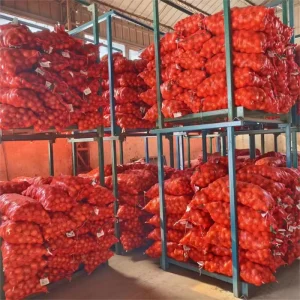 Fresh Onion to Export Yellow Onion Red Onion
