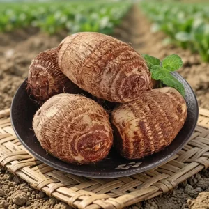 Fresh Organic Chinese Taro Root Sample Natural 1kg 3 Months Shelf Life Small Order Acceptable
