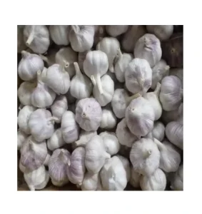 Fresh Organic White Garlic EU Standard Quality Small Customized Packing