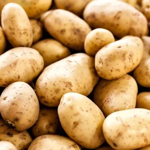 Fresh Potato New Crop Vegetables Potato Prices for Export Fresh Chinese Factory Supplier Fresh Onions and Potato